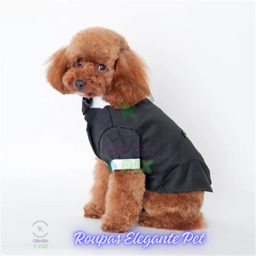 Roupas Elegante Pet