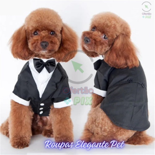 Roupas Elegante Pet