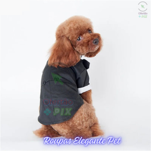 Roupas Elegante Pet