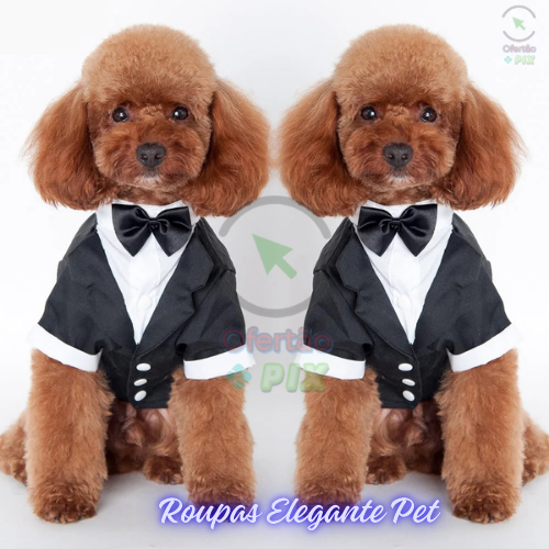 Roupas Elegante Pet